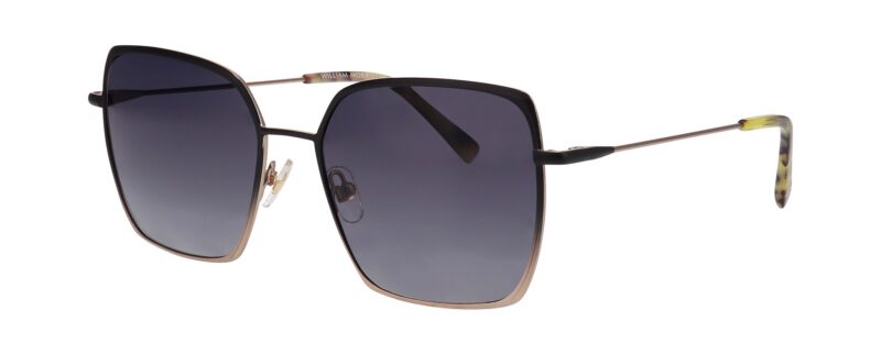 chionidis optical