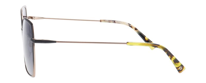 chionidis optical